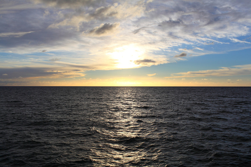 IMAGE: http://ckphotoonline.smugmug.com/Digital-Archive/City-Life/Oceanside-Pier/i-87pw8Zd/0/L/IMG_5788-L.jpg