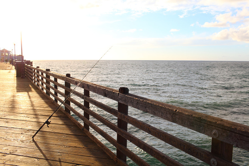 IMAGE: http://ckphotoonline.smugmug.com/Digital-Archive/City-Life/Oceanside-Pier/i-j6NMZfX/0/L/IMG_5764-L.jpg