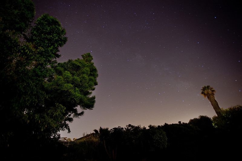 IMAGE: http://ckphotoonline.smugmug.com/Digital-Archive/Nature/Nature/i-QgvH2QK/0/L/IMG2294-L.jpg