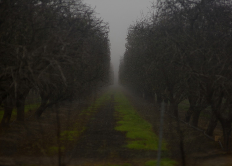 IMAGE: http://ckphotoonline.smugmug.com/Digital-Archive/Travel/On-the-Road/i-wpxzT4Q/0/L/IMG_6067-L.jpg