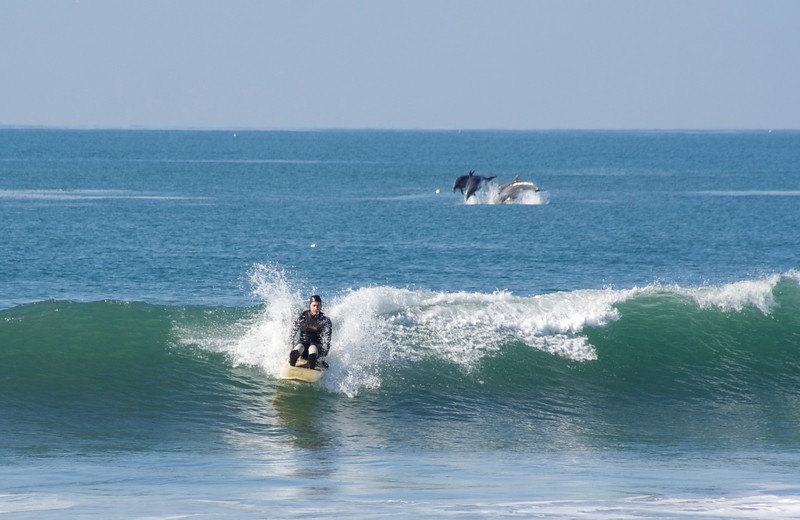 IMAGE: http://ckphotoonline.smugmug.com/Sports/Surf/IMG2796c1/737439981_USnr8-L.jpg