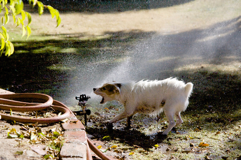 IMAGE: http://ckphotoonline.smugmug.com/Still-Life/Abstracts/IMG2318/731328643_2YvaY-L.jpg