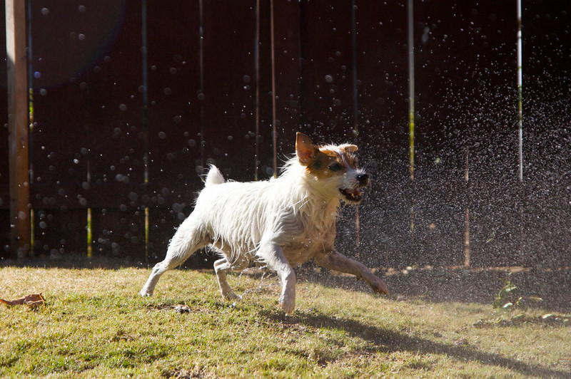 IMAGE: http://ckphotoonline.smugmug.com/Still-Life/Abstracts/IMG2335/731333545_SU5kU-L.jpg