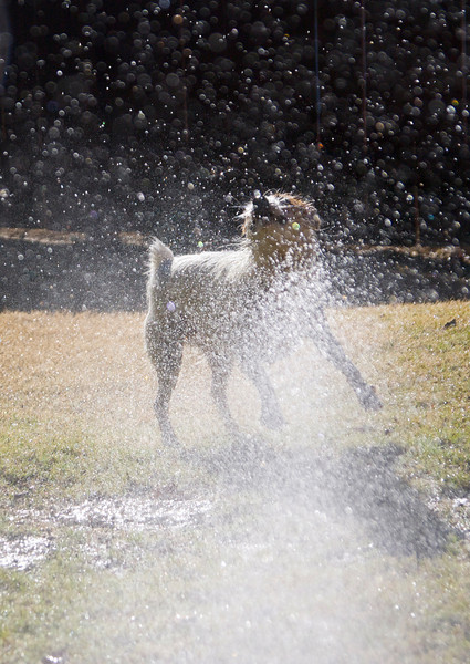 IMAGE: http://ckphotoonline.smugmug.com/Still-Life/Abstracts/IMG2342/731336864_83zUy-L.jpg